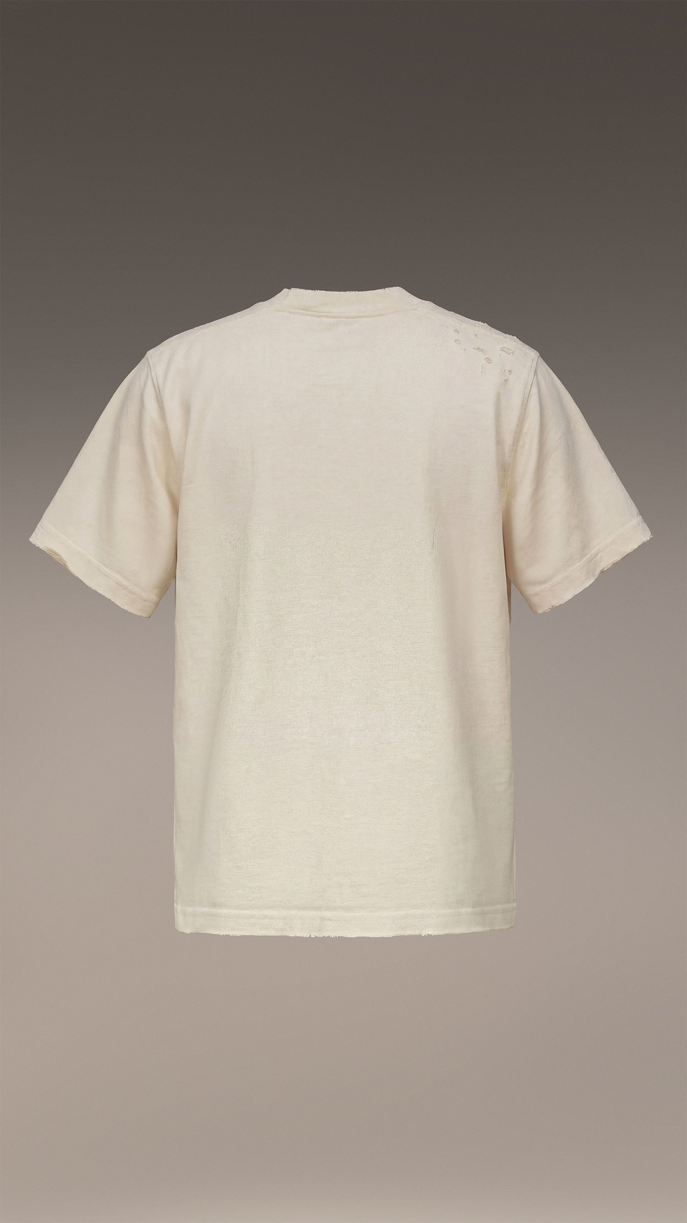 Koszulka RAW GRAPHITE - T37191